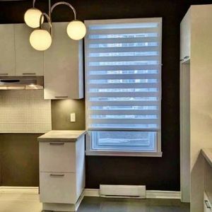 7 1/2 - Montréal (Hochelaga / Maisonneuve) - 2 575 $/mois - Photo 2