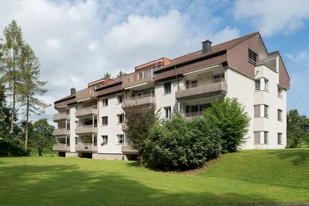 "Dachwohnung im Günen - Besichtigen, Mieten, Wohlfühlen!" - Foto 4