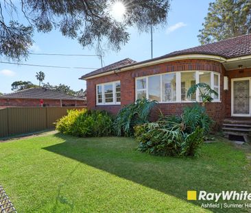 33 Church Street, Ashfield NSW 2131 - House For Rent | Domain - Photo 3