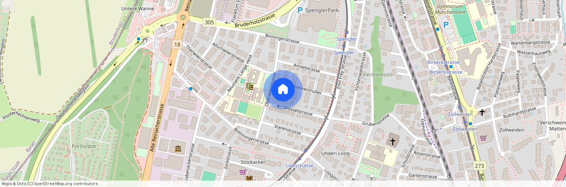 Im Steinenmüller 19, 4142 Münchenstein