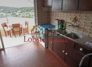 Διαμέρισμα για ενοικίαση - Μαρκόπουλο, - Photo 4