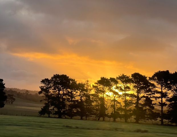 Hurstville - Photo 1