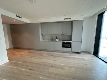 Lodjursstråket, Göteborg - Foto 5