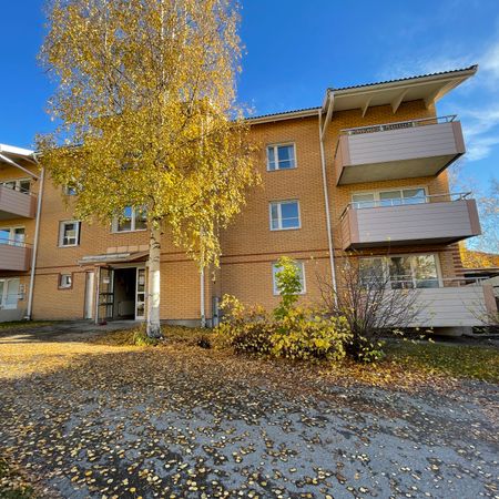 Lyckogränd, Skellefteå - Foto 4