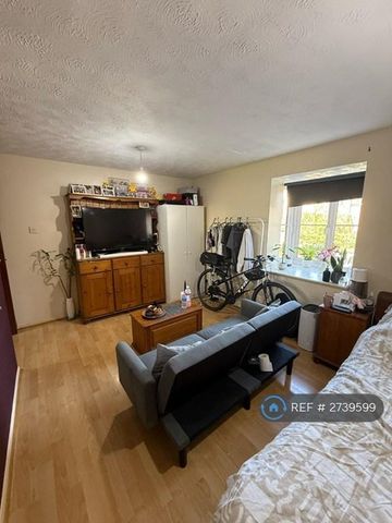 Studio to rent - Photo 4