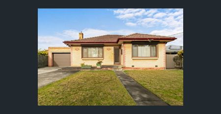 GROW ALL YOUR FRUIT AND VEGETABLES AT HOME - Photo 2