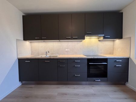 Superb 3.5 room apartment completely renovated in a villa with garden - Photo 5