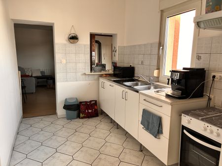 Location Appartement 2 pièces 57m² WISSEMBOURG 67160 - Photo 5