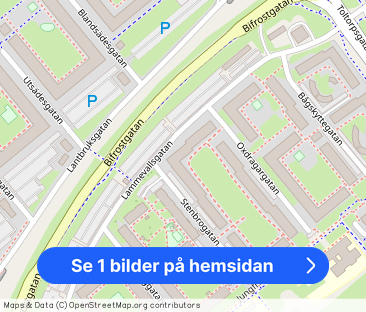 Lammevallsgatan, 46, Mölndal - Foto 1