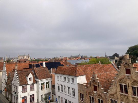 Fijne assistentiewoning in het historisch centrum van Brugge - Photo 1