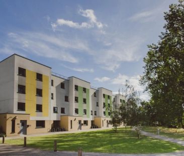 Single Ensuite Premium Rooms - Photo 6