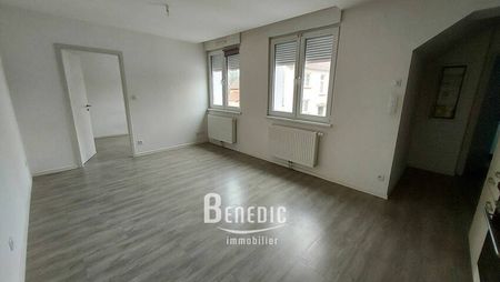 Appartement T2 - Quartier Neunkirch - SARREGUEMINES - Photo 2