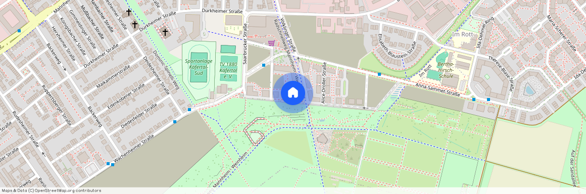 Leonie-Ossowski-Promenade 11, 68309 Mannheim