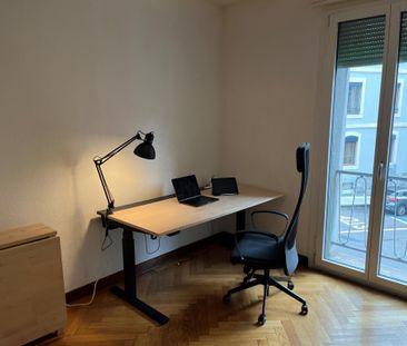 Magnifique appartement Studio aux Eaux-Vives - Foto 5