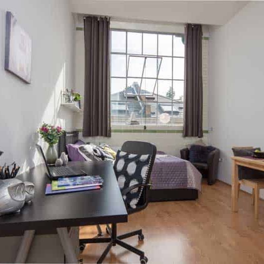 Gold Plus Studios - Photo 1