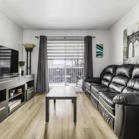 Appartement 5 ½ à louer Lévis octobre 2025 - Photo 3