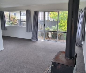 45 Collie Drive, Pukehangi - Photo 4