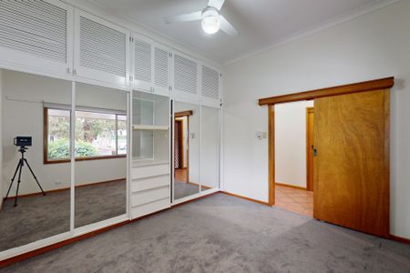 14 Parkview Street, Georgetown NSW 2298 - Photo 4