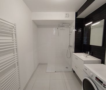 Location Appartement 1 pièce 31m² - Photo 6