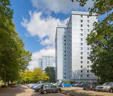 Kiefernring 4, 14478 Potsdam OT Waldstadt I und II - Foto 1