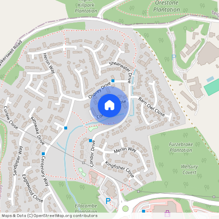 The Willows, Torquay, TQ2