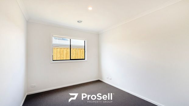 3 Pigeon Street, Charlemont - Photo 1