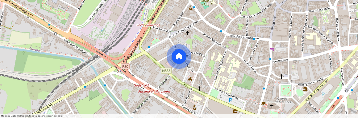 Rue Adolphe Pécher 26 0-5, 7000 Mons, België