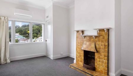 Handy in Hataitai - Photo 2