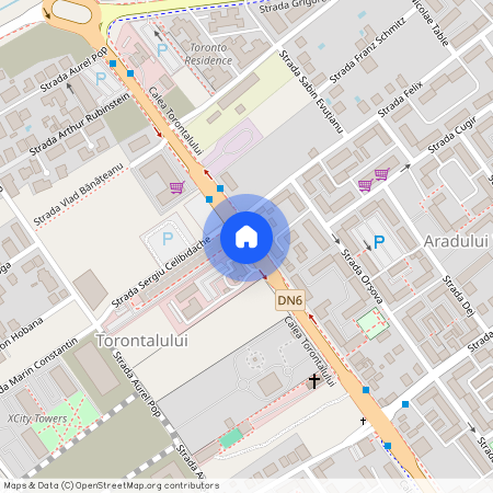 Timisoara, Torontalului