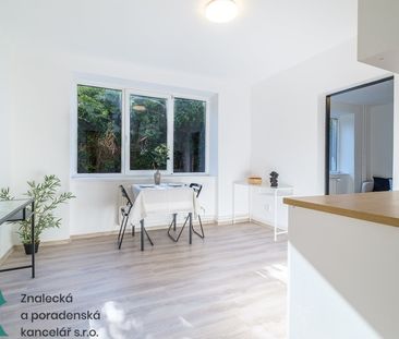 Pronájem bytu 1+1, Střekov, Ústí nad Labem - Photo 5