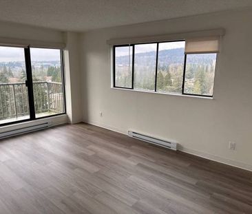 2-Bedroom Fully Renovated close to SkyTrain (Lougheed) - Photo 2