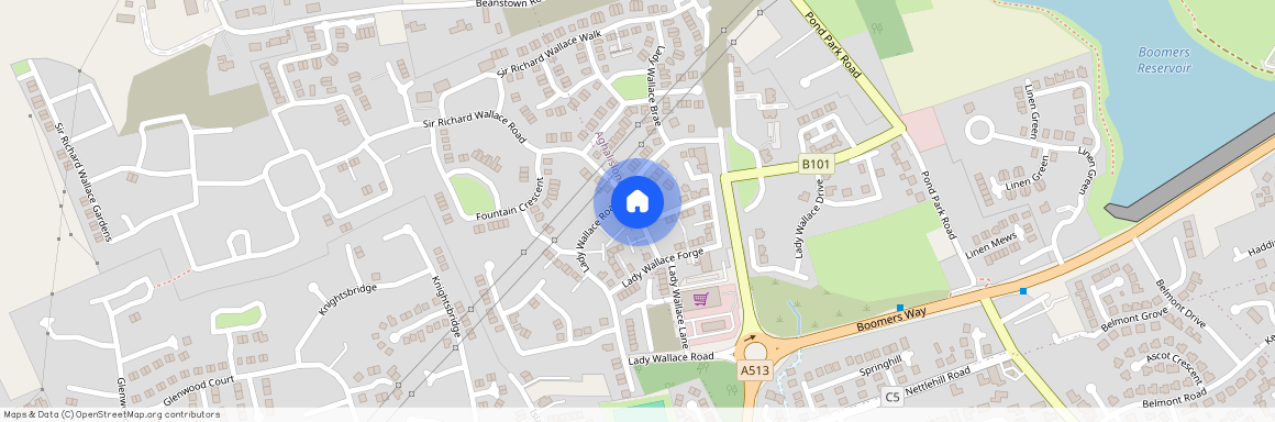 Lady Wallace Road, Lisburn, BT28