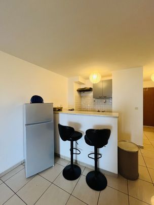 GRAND T1 BIS MEUBLE - SAINTE CLOTILDE - Photo 1