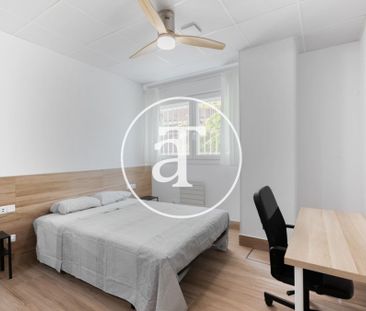 Monthly rental Studio with 1 bedroom, 1 bathroom in Latina - Photo 4