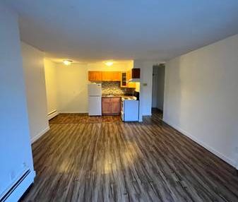 Beautiful 1 Bedroom Apartment - Photo 4