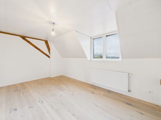 Exclusive 6.5-room duplex apartment in Bettlach – First occupancy after renovation - Foto 1