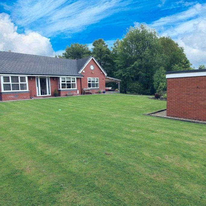 3 bedroom detached bungalow to rent - Photo 1