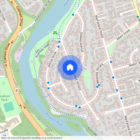 17 Plunket Terrace, 3216, Hamilton East