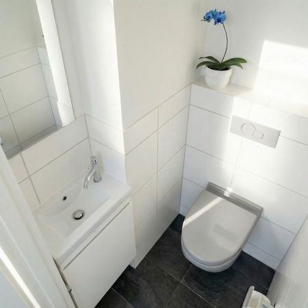 5 Zimmer, 85 m², EG - Photo 5