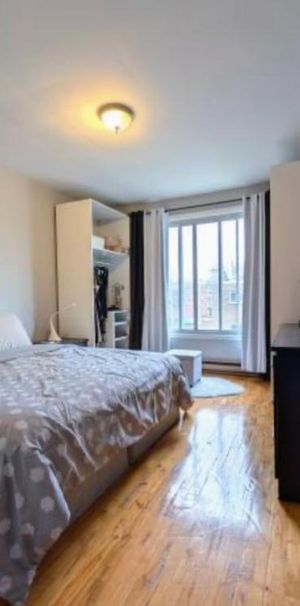 5.5 Apartment Available - A louer • For Rent - Photo 1
