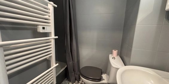 Location Appartement 1 pièce 17m² NICE 06100 - Photo 3