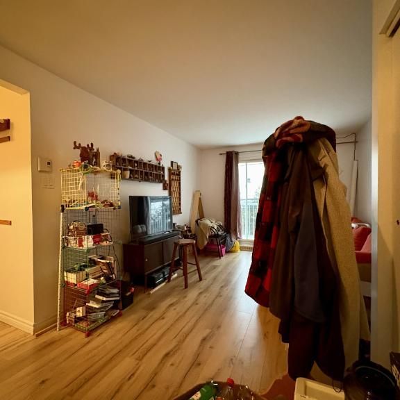 Appartement 4 ½ à louer Beauport juillet 2026 - Photo 1