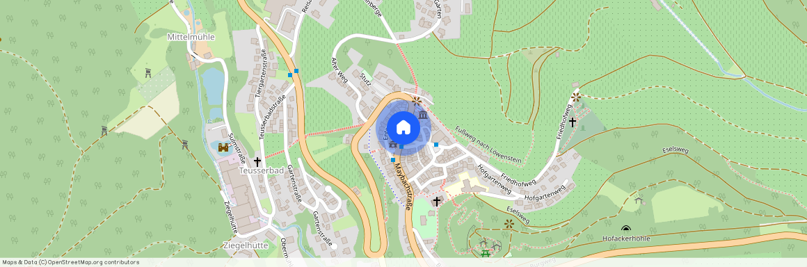 74245 Baden-Württemberg - Löwenstein