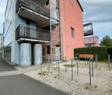 Solar City! 2-Raum-Wohnung mit großzügigem Garten und TG-Platz! Her... - Photo 6