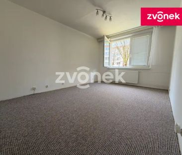 Pronájem bytu 1+1 Větrná - Fotografie 3