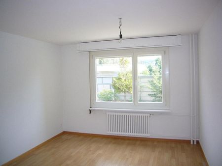 3 Zimmerwohnung im Hammerquartier mit sanierter Küche + Badezimmer - Photo 3
