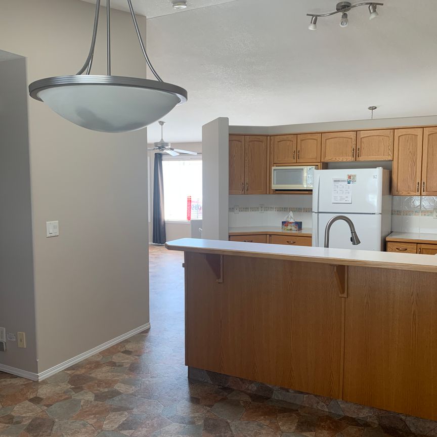 AMAZING FULL HOUSE in Deer Park! PETS OK ~ fully fenced yard! - Photo 1