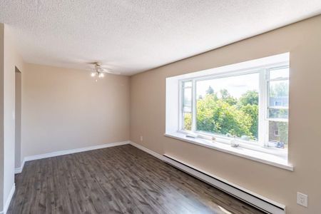 Lewis Court Apartments - ALL INCLUSIVE - Photo 2