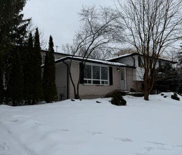 For Lease - 165 Carlson Drive Unit# Lower, Newmarket, Ontario - Photo 4