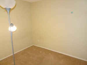 $1400 / 1br – 835ft2 – Spacious 1 Br + Den Condo in Melrose Place (Surrey West) - Photo 3